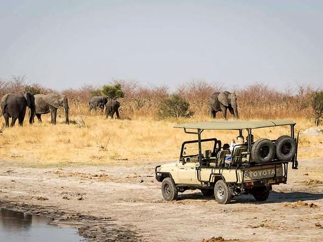 Tourists enjoying a game drive in Botswana.