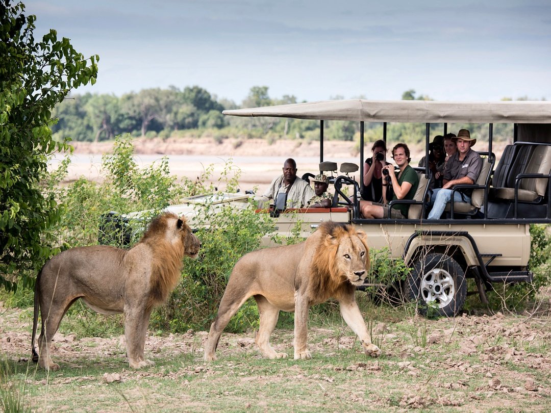 Tourists enjoying a guided game drive in South Luangwa National Park Zambia.
