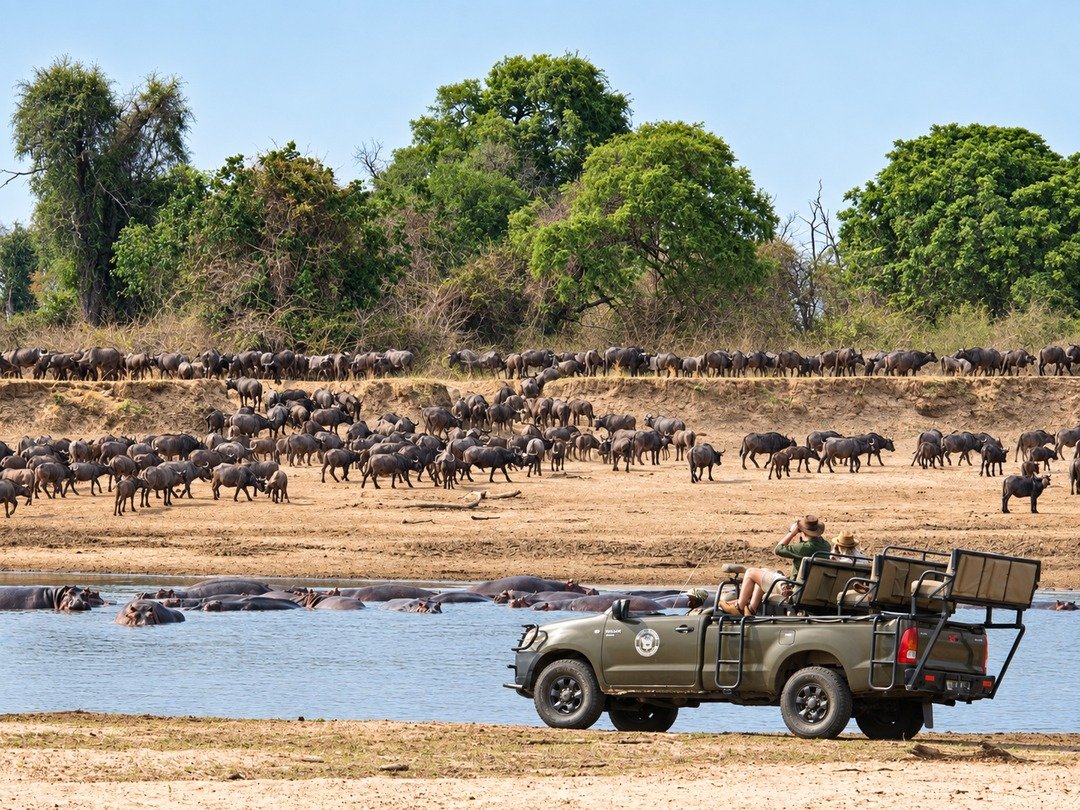 Tourists enjoying a game drive in South Luangwa National Park Zambia while observing wildlife in their natural habitat.