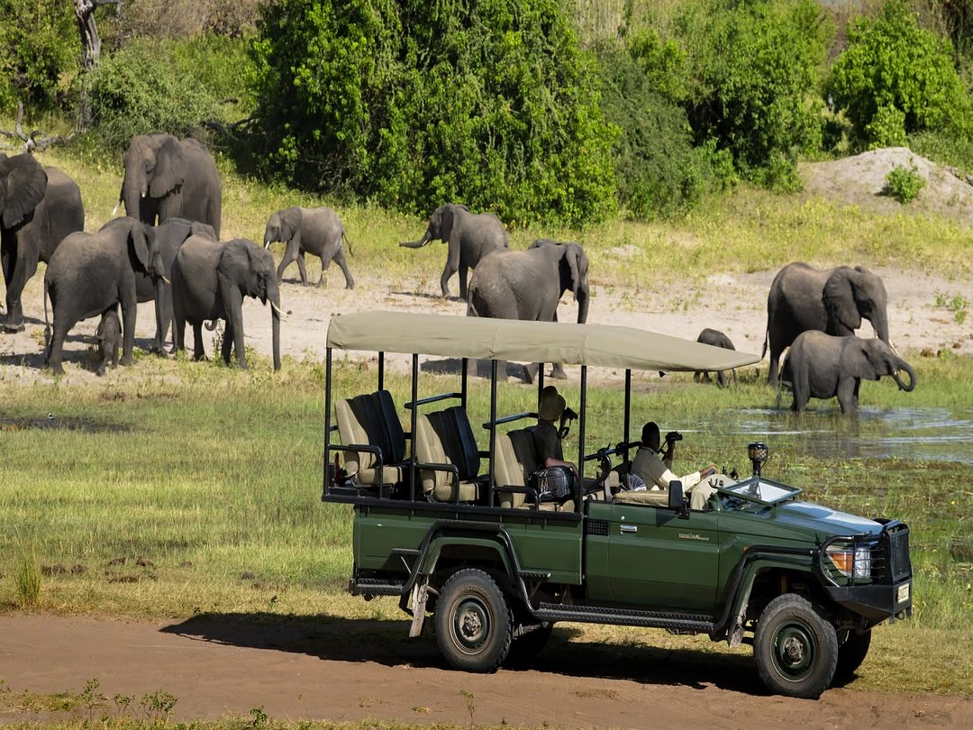 Tourists on a game drive in Chobe National Park.