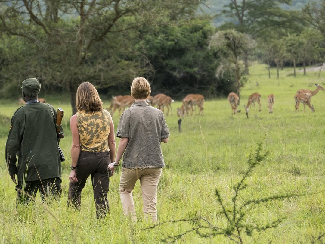 Tourists enjoying a guided wildlife walking safari in Lake Mburo National Park, Uganda.