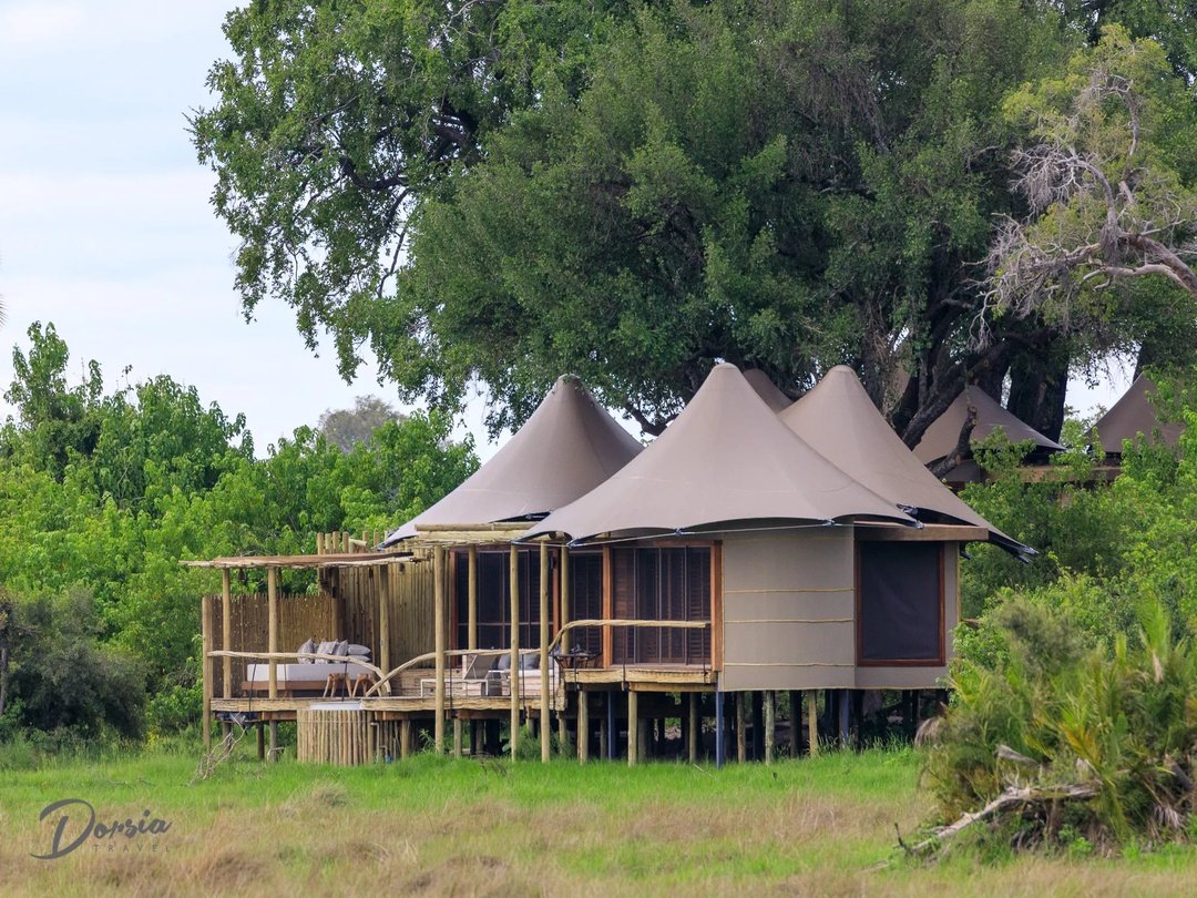 Little Mombo Camp luxury accommodation in the Okavango Delta Botswana