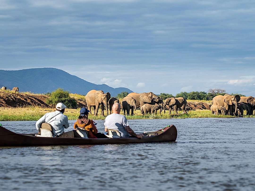 Tourists enjoy a canoe safari while viewing elephants along the riverbank in Lower Zambezi National Park, Zambia.