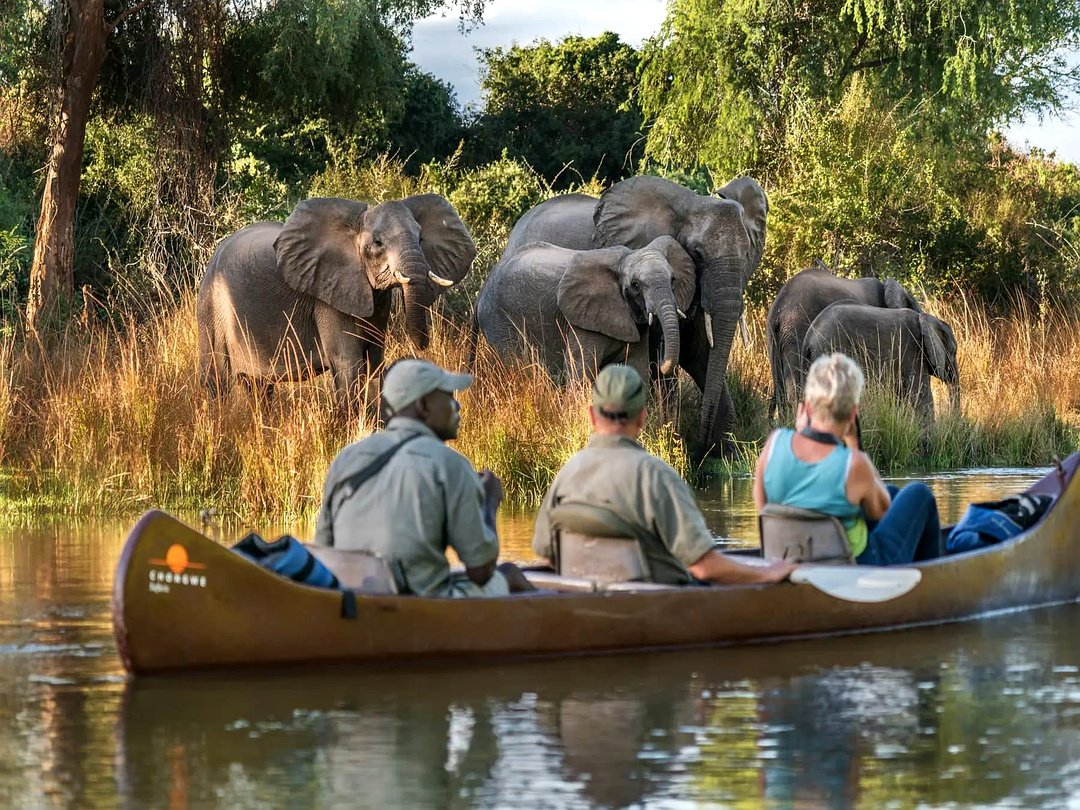 Tourists canoeing in Lower Zambezi National Park while viewing a herd of elephants during a Zambia safari