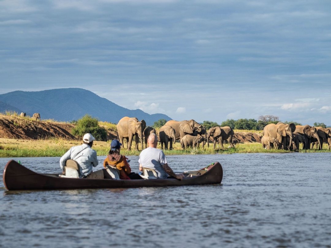 Tourists enjoying a canoe safari in Lower Zambezi National Park Zambia while exploring the Zambezi River surrounded by wilderness and wildlife