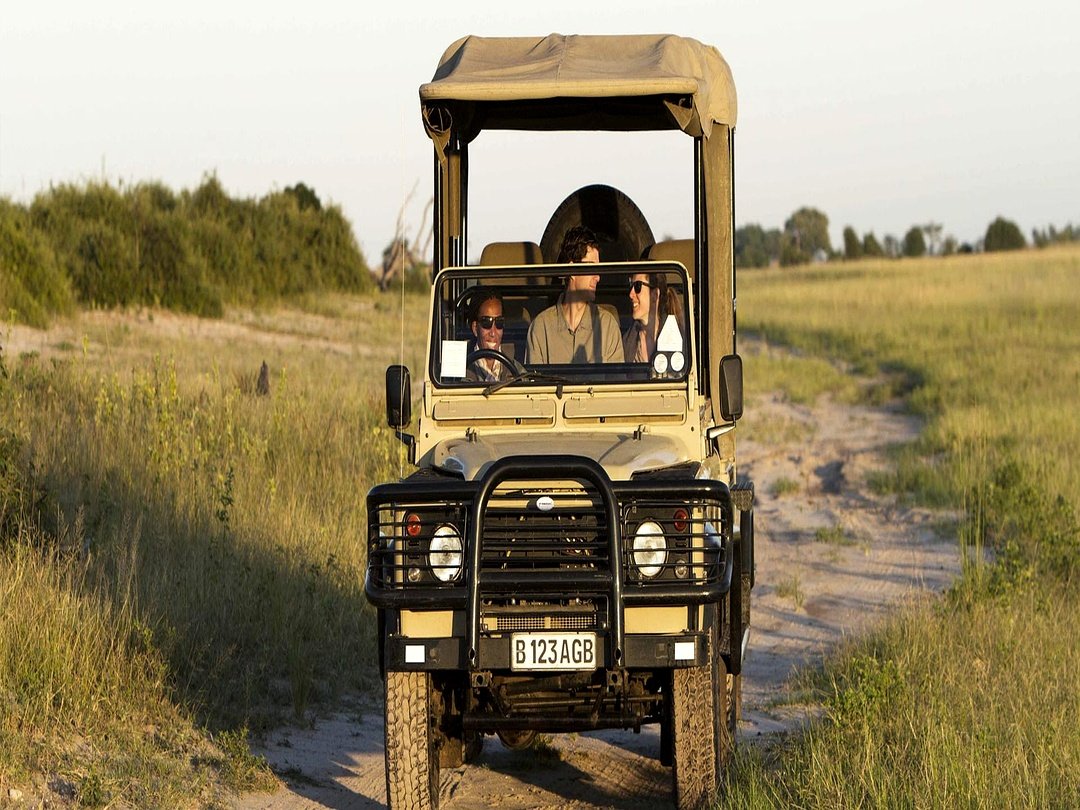 Luxury safari experience with tourists enjoying a game drive in a 4x4 safari vehicle exploring the Southern Africa wilderness