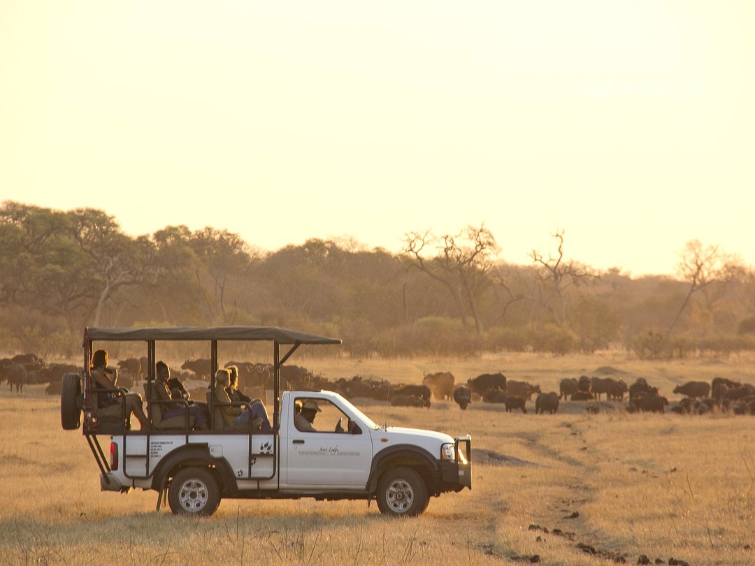 Tourists enjoying a mid-range safari game drive in the Southern Africa wilderness while exploring the savanna landscape and wildlife surroundings