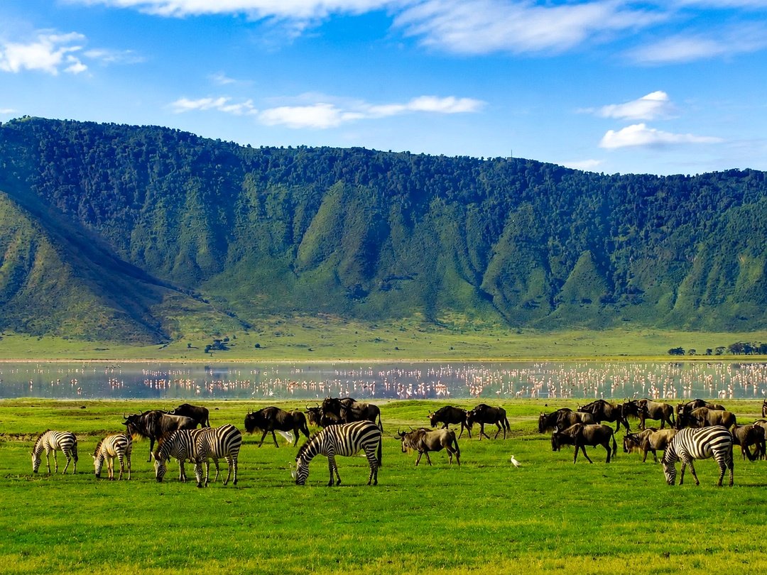 Wildlife safari in Ngorongoro Crater combined with a Victoria Falls adventure across Africa.