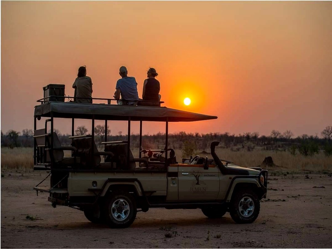 Tourists on a photography safari in Hwange National Park capturing wildlife moments during a Victoria Falls safari adventure.