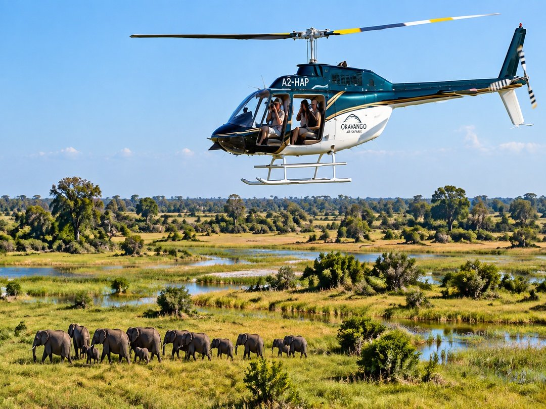 Tourists enjoying a scenic helicopter flight over the Okavango Delta while viewing elephants in Botswana.