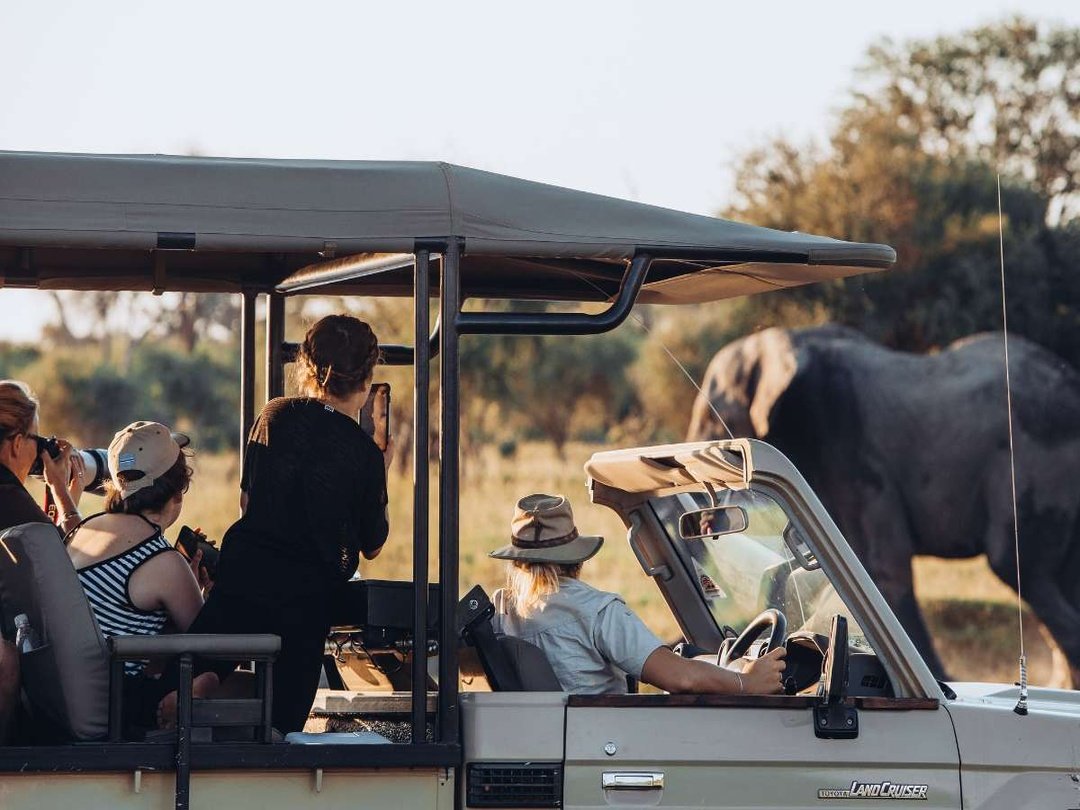 Tourists enjoying a luxury safari adventure in Botswana.