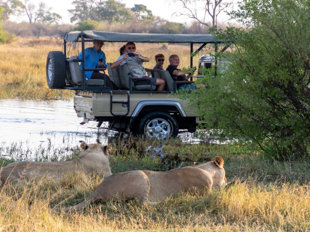 Tourists enjoying a photography safari in Moremi Game Reserve Botswana