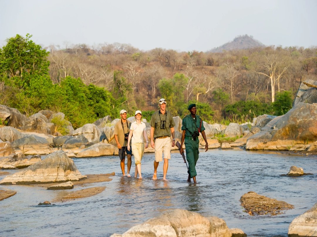 Tourists enjoying a guided walking safari through the wilderness of South Luangwa National Park Zambia.