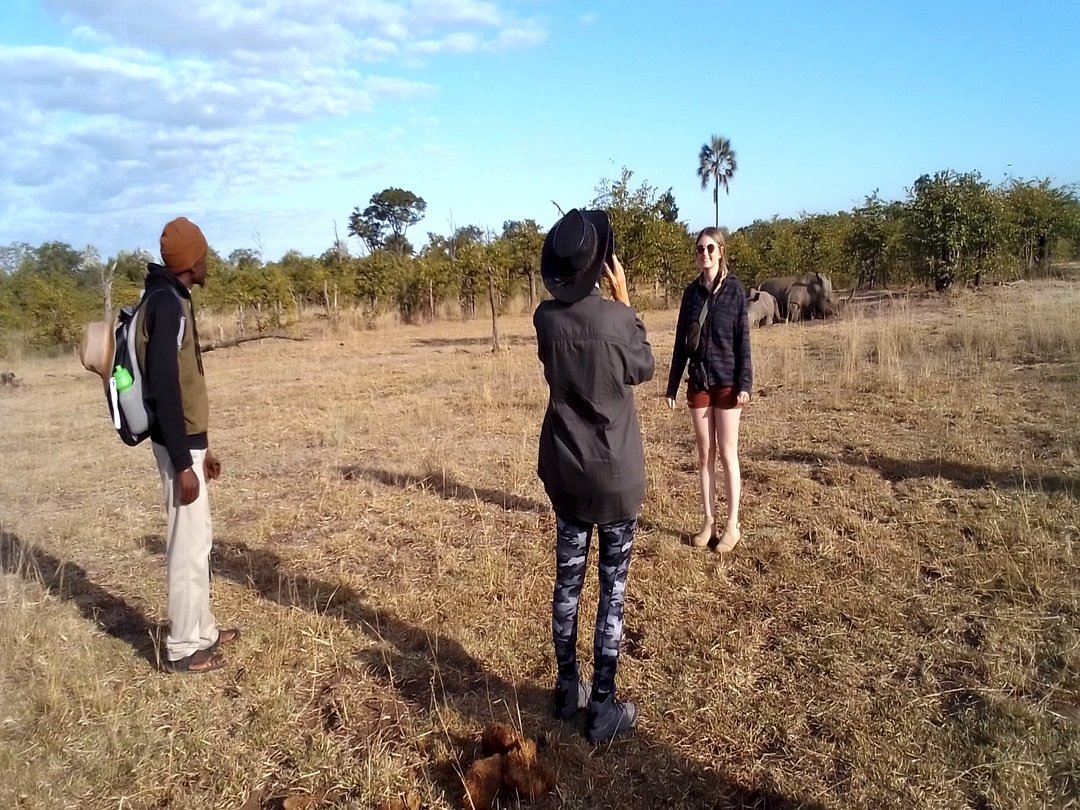 Tourists enjoying a walking safari experience in Zambia’s wilderness while observing wildlife in the natural habitat.