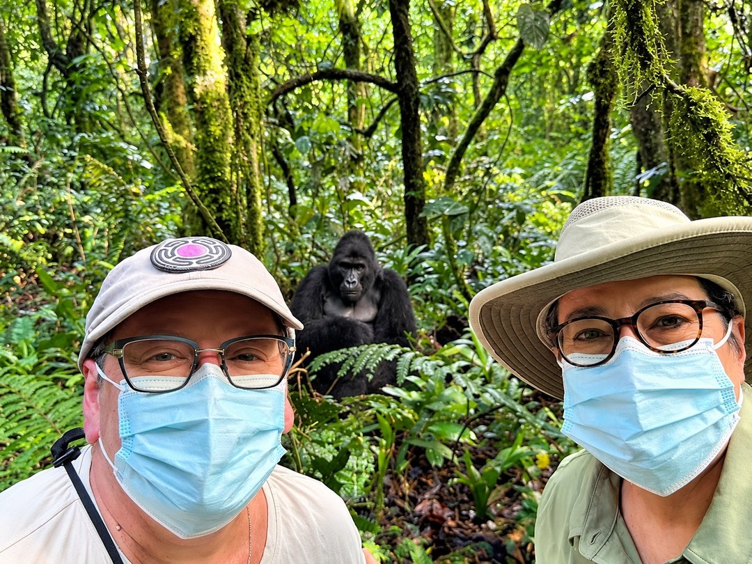 A Couple enjoying a Gorilla Group Joining Safari from Kigali to Bwindi Impenetrable National Park.