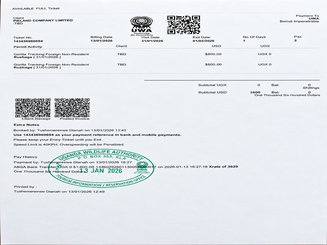 Uganda gorilla trekking permit showing the official permit price for trekking mountain gorillas in Bwindi Impenetrable National Park