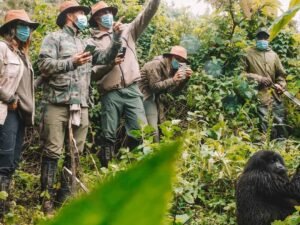 Tourists observing a mountain gorilla during gorilla trekking in Bwindi Impenetrable National Park, Uganda