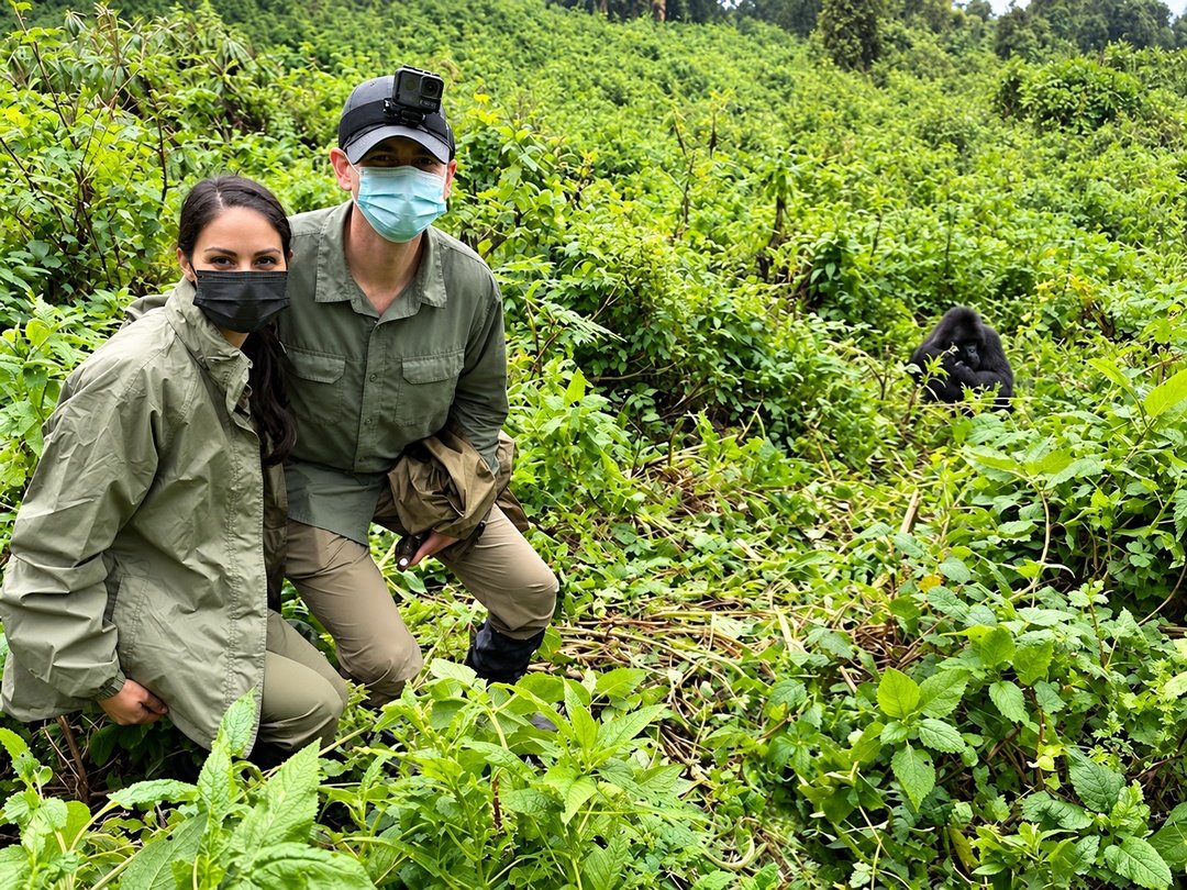 Tourists enjoying Rushaga Gorilla Habituation in Bwindi Impenetrable National Park