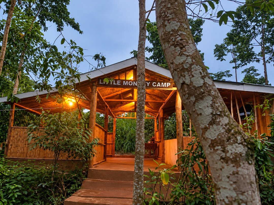 Little Monkey Camp in Kibale National Park, surrounded by lush tropical forest and offering convenient accommodation for chimpanzee trekking travelers.