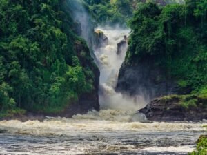 Powerful Murchison Falls surrounded by lush green vegetation in Murchison Falls National Park, Uganda