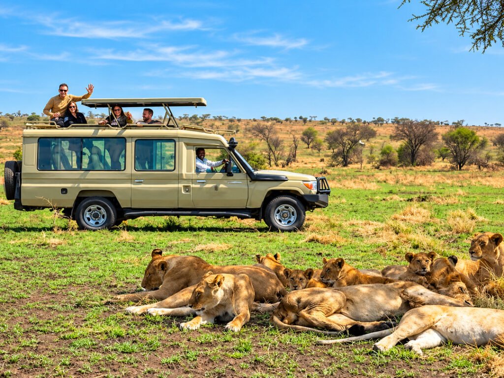 Tourists encountering lions during a game drive in Uganda